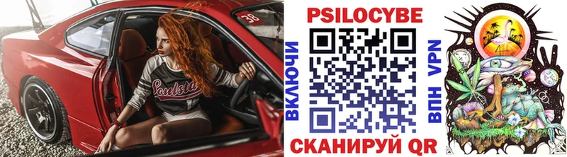 Купить где  Кедровый  Галлюциногенные грибы прущие грибы 
